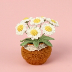 Chậu Hoa Len Để Bàn LYLYCRAFT Handmade Dùng Làm Đồ Decor Nhà Quà Tặng Tốt Nghiệp, Sinh Nhật, Ngày Lễ