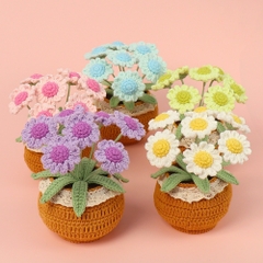 Chậu Hoa Len Để Bàn LYLYCRAFT Handmade Dùng Làm Đồ Decor Nhà Quà Tặng Tốt Nghiệp, Sinh Nhật, Ngày Lễ