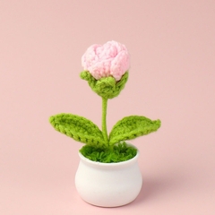 Hoa Len Handmade Dùng Làm Quà Tặng Sinh Nhật, Lễ Ý Nghĩa Chậu Hoa Len Để Bàn Làm Việc- LYLYCRAFT