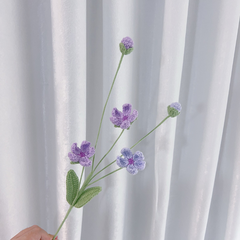 Cành Hoa Mận  Mờ