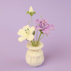 Chậu hoa Maixianweng Đế Len