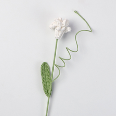 Cành Hoa Thuỳ Tiên Peru