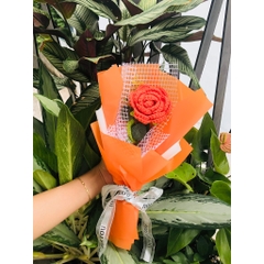 TP Bó Hoa Hồng Len 1 Bông - CAM