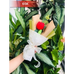 TP Bó Hoa TULIP Len 1 Bông - ĐỎ