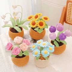 Chậu Hoa Len Để Bàn LYLYCRAFT Handmade Dùng Làm Đồ Decor Nhà Quà Tặng Tốt Nghiệp, Sinh Nhật, Ngày Lễ