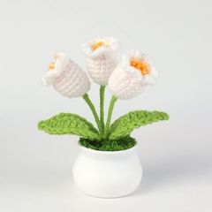 Chậu hoa len để bàn handmade nhiều mẫu dễ thương kèm túi thiệp quà tặng 21/10, sinh nhật, tốt nghiệp, decor trang trí