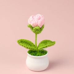 Chậu hoa len để bàn handmade nhiều mẫu dễ thương kèm túi thiệp quà tặng 21/10, sinh nhật, tốt nghiệp, decor trang trí