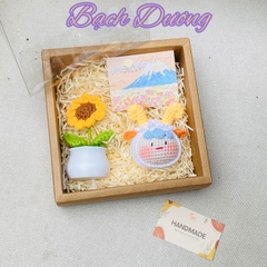 SÉT QUÀ TẶNG 12 CHD KÈM CHẬU HOA NHỰA + THIỆP - BẠCH DƯƠNG