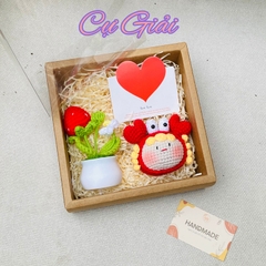 SÉT QUÀ TẶNG 12 CHD KÈM CHẬU HOA NHỰA + THIỆP - CỰ GIẢI