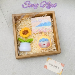 SÉT QUÀ TẶNG 12 CHD KÈM CHẬU HOA NHỰA + THIỆP - SONG NGƯ