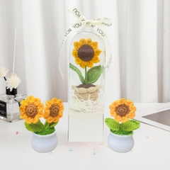 Chậu Hoa Len Handmade LYLYCRAFT Hoa Móc Len Thủ Công Kèm Hộp Thích Hợp Làm Quà Tặng Sinh Nhật, Quà 20/10 Cho Người Yêu