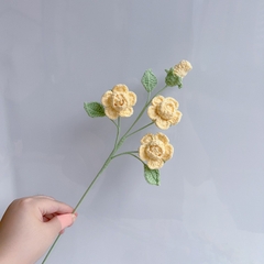 CÀNH HOA HỒNG BARBIE, HOA HỒNG LEN VĨNH CỬU