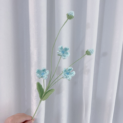 Cành Hoa Mận  Mờ