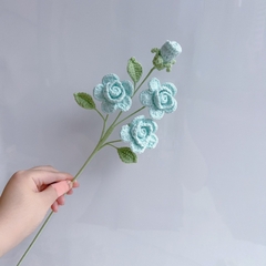 CÀNH HOA HỒNG BARBIE, HOA HỒNG LEN VĨNH CỬU