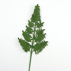 Cành Lá Dương Xỉ Tuyết