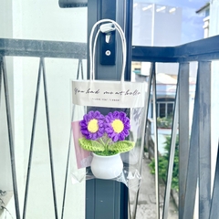 Combo Chậu hoa cúc tím thiệp kèm túi