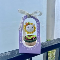 Combo chậu hoa thỏ kèm túi