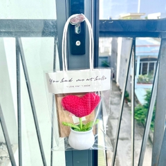 Combo chậu hoa tim đỏ kèm thiệp túi