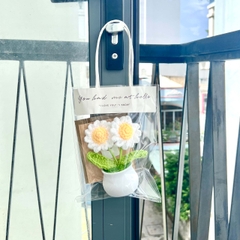 Combo Chậu hoa cúc trắng kèm thiệp túi