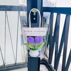 Combo chậu Tulip Tím kèm thiệp và túi