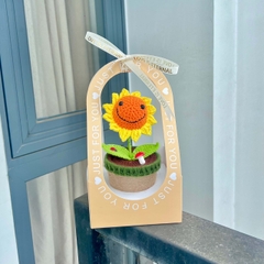 Combo Chậu Hoa hướng dương kèm túi