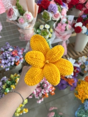 Thành phẩm hoa Tulip Dài handmade