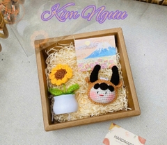SÉT QUÀ TẶNG 12 CHD KÈM CHẬU HOA NHỰA + THIỆP - KIM NGƯU
