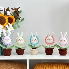 Chậu Hoa Thú Đế Len