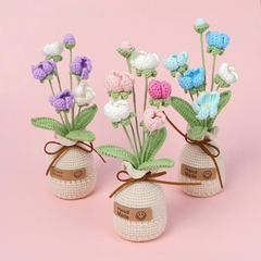 Chậu Hoa Prunus Mume Đế Len