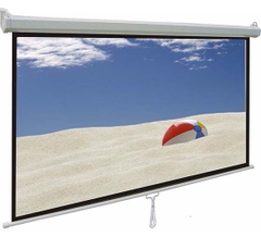 Màn chiếu treo tường Eco Screen P96WS