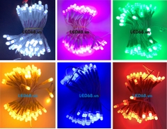 LED Senyang 5mm Màu Đỏ