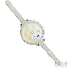 F50 7LED ic DMX