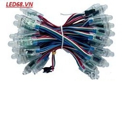 F8 Full 6803  HHX