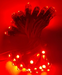 LED ĐÚC F5 HHX 12V