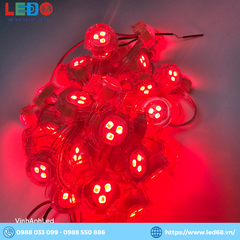 LED F20 Đơn Sắc chuyên dụng cho bộ chữ ngoài Trời