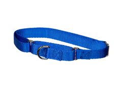Dây dắt Purple cao cấp