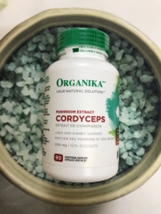 VIÊN UỐNG BỔ THẬN ĐÔNG TRÙNG HẠ THẢO CORDYCEPS ORGANIKA