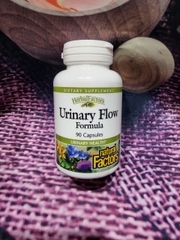 THẢO DƯỢC BỔ THẬN URINARY FLOW NATURAL FACTORS