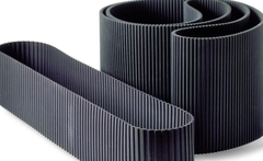 DÂY CUROA RĂNG (DÂY HỘP SỐ)