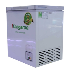 Tủ đông kháng khuẩn Kangaroo KG168NC1