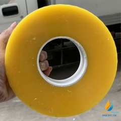 Băng dính trong khổ to