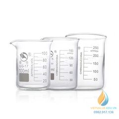 Cốc đốt thấp thành TQ 3000ml