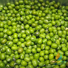 Đậu xanh