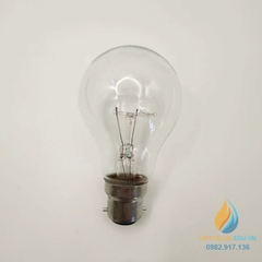 Bóng đèn sợi đốt 200W
