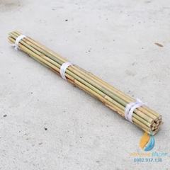 Gậy tre