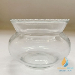 Bình thủy tinh trồng cây dung tích 600ml