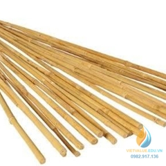 Gậy tre