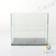 Bể cá mini kích thước 30x17x20 cm kiếng 5li