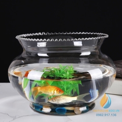 Bình thủy tinh trồng cây dung tích 600ml