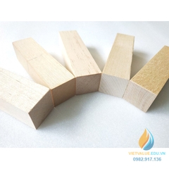 Khối gỗ hình hộp 5x2x1cm